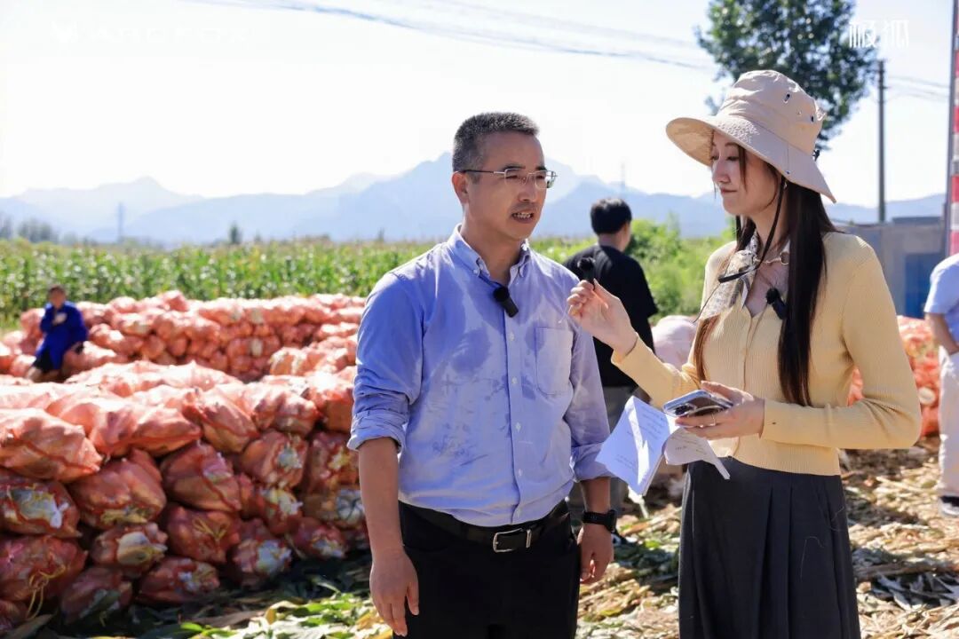 1769226751249672 2.jpg